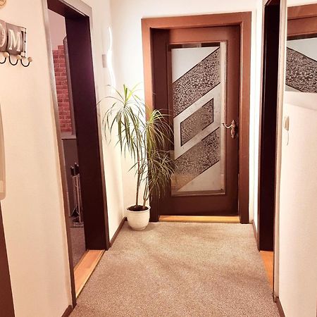 רייכנבאך אים פוגטלנד Ferienwohnung "Blick Mylau" - Naehe Freizeitpark Plohn & Weltgroesster Ziegelsteinbruecke מראה חיצוני תמונה