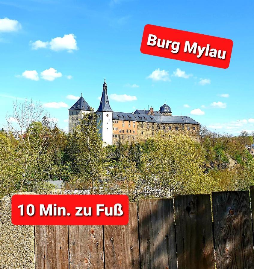 רייכנבאך אים פוגטלנד Ferienwohnung "Blick Mylau" - Naehe Freizeitpark Plohn & Weltgroesster Ziegelsteinbruecke מראה חיצוני תמונה