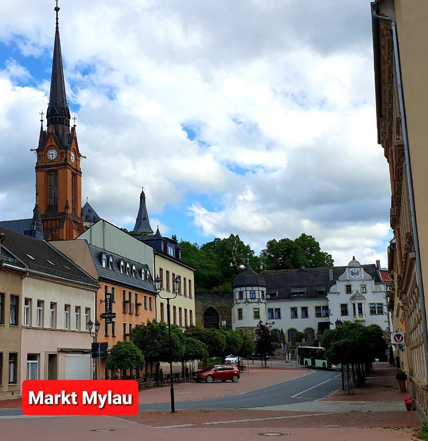 רייכנבאך אים פוגטלנד Ferienwohnung "Blick Mylau" - Naehe Freizeitpark Plohn & Weltgroesster Ziegelsteinbruecke מראה חיצוני תמונה