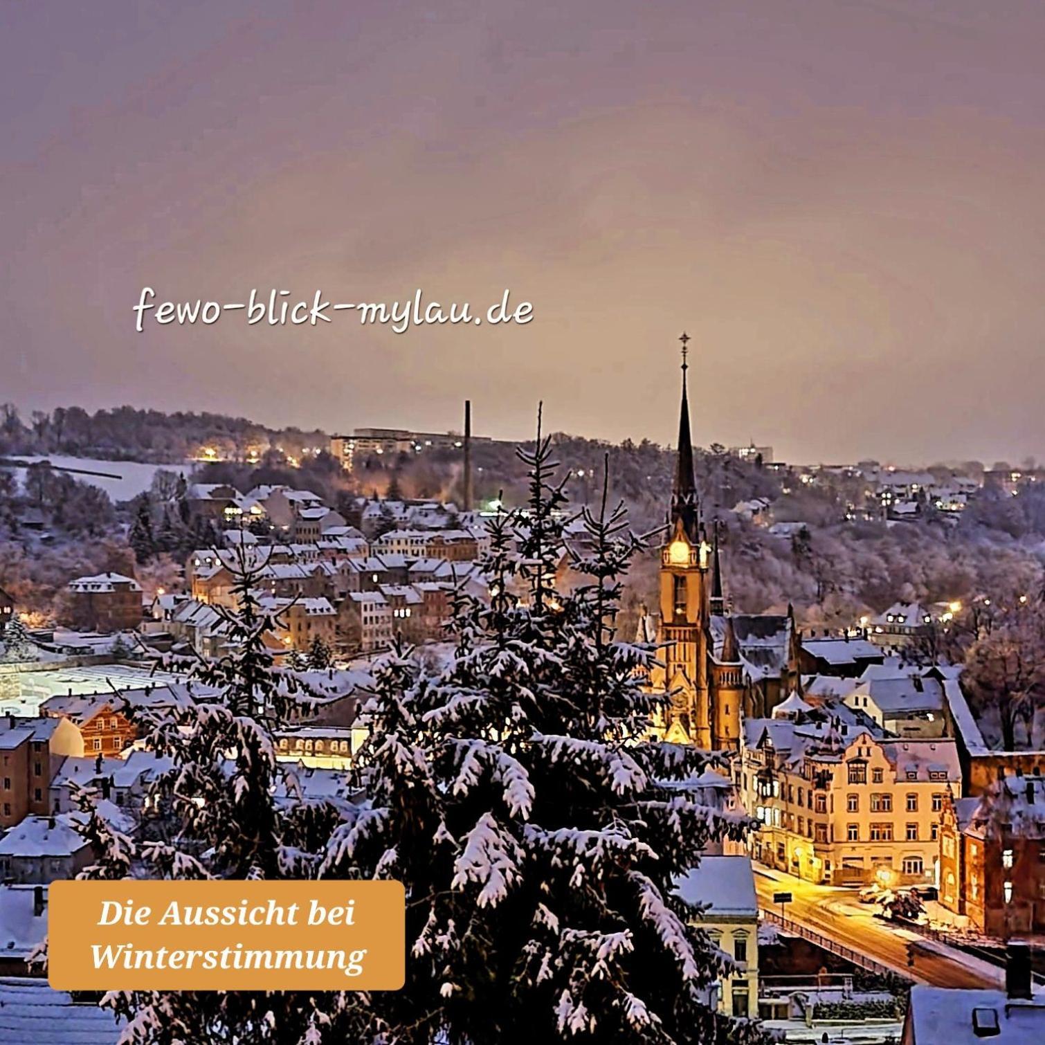 רייכנבאך אים פוגטלנד Ferienwohnung "Blick Mylau" - Naehe Freizeitpark Plohn & Weltgroesster Ziegelsteinbruecke מראה חיצוני תמונה